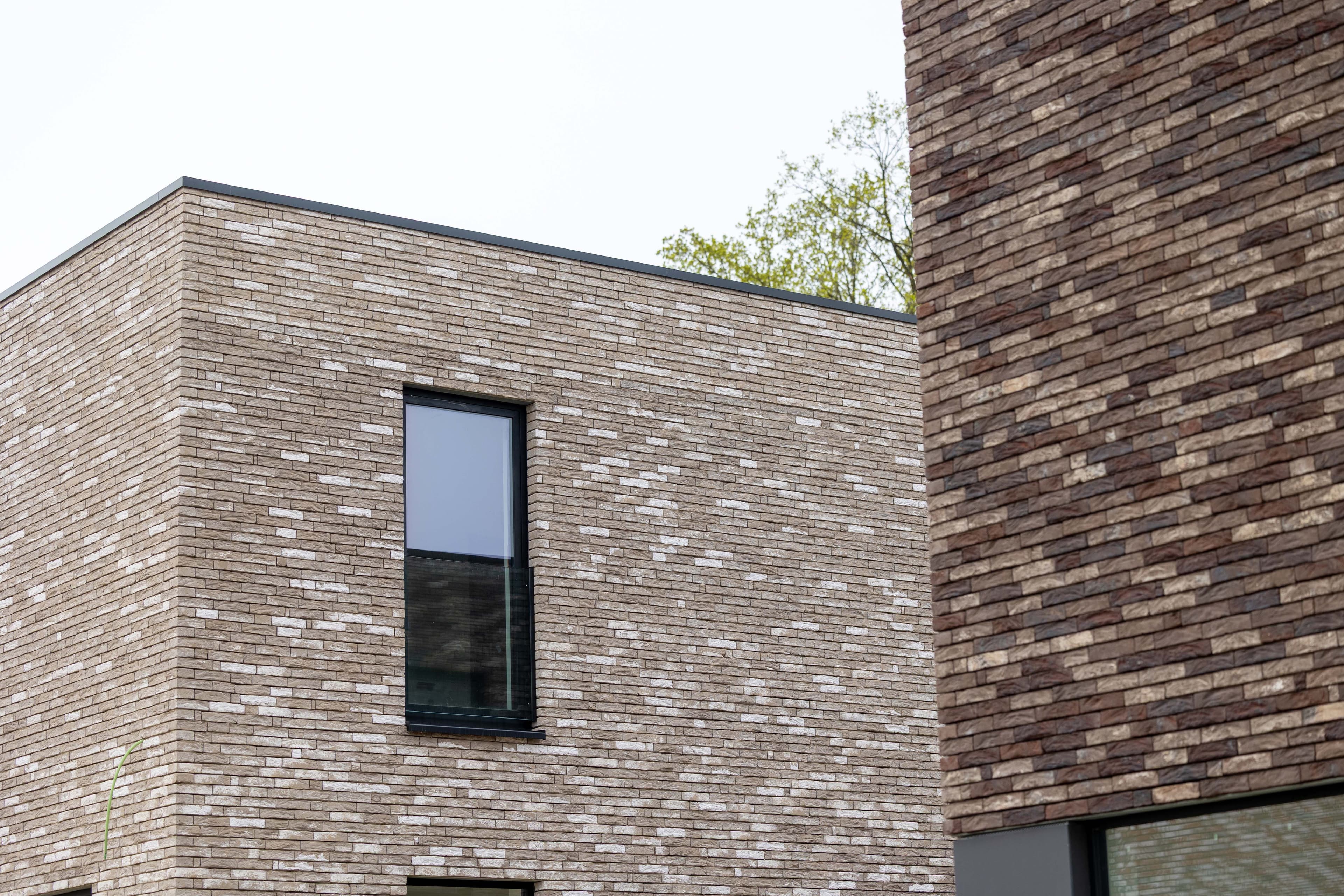 Project Heusden — ruwbouwfase